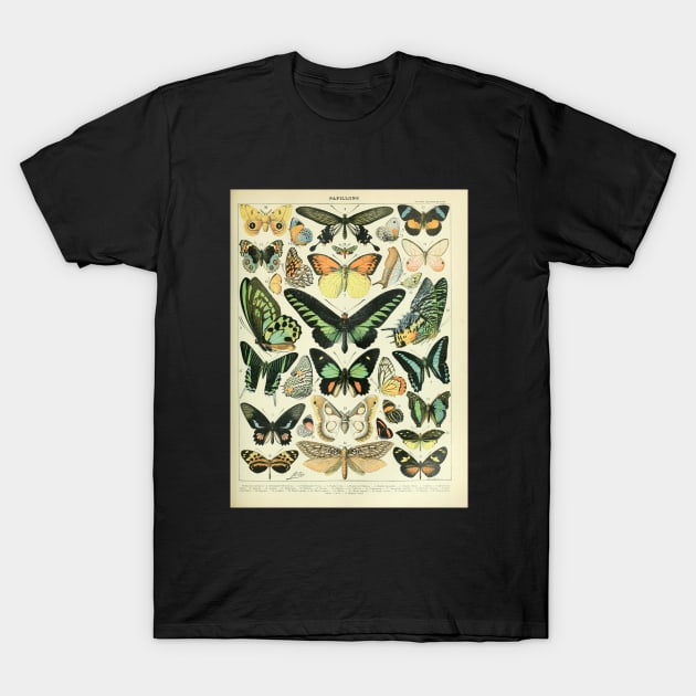 Adolphe Millot Arthropodes Insects papillons Chart Illustration Butterflies T-Shirt by CONCEPTDVS